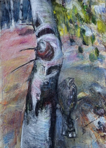 Mark Gibbs | Hiding in Plain Sight; Nightjar | Drawing | 59x77cm | £980