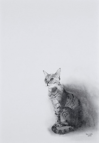 Pau Ling Yap| Jasper | Print copy of original pencil | A3 unframed | £150