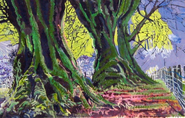 Philippa Beale | Ancient Beech Trees, Cloutsham, Exmoor | Oil on paper | 42x57cm | £450