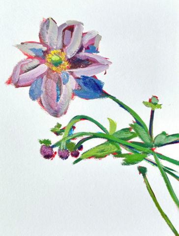 Anemone and Buds by Sierra Flanagan | Acrylic | £200